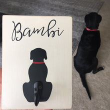 Load image into Gallery viewer, Custom Leash Hook